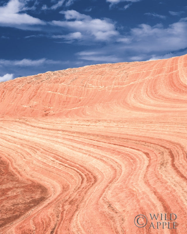 Reproduction of Coyote Buttes V Blush Orange Crop by Alan Majchrowicz - Wall Decor Art