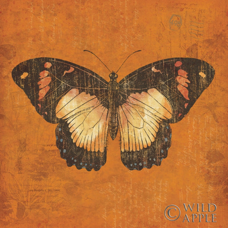Reproduction of Apricot Butterfly by Katie Pertiet - Wall Decor Art