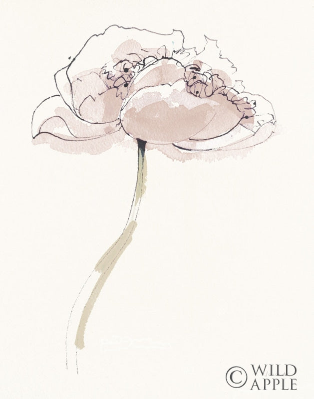 Reproduction of Single Somniferums II Neutral Crop by Shirley Novak - Wall Decor Art