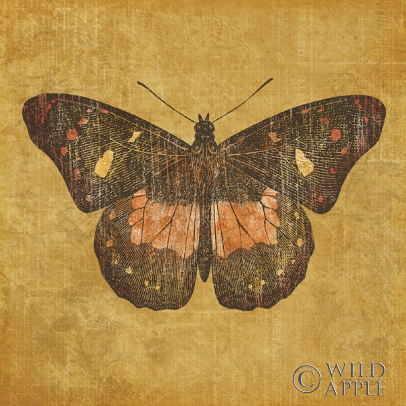 Reproduction of Ochre Butterfly by Katie Pertiet - Wall Decor Art