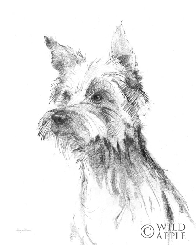 Reproduction of Yorkshire Terrier Sketch by Avery Tillmon - Wall Decor Art