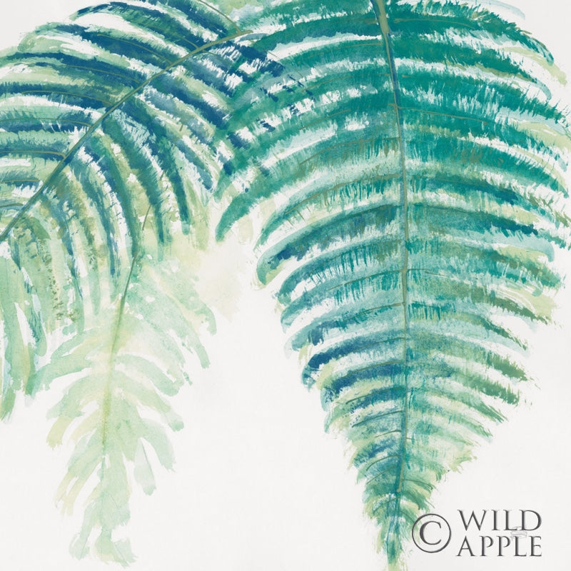 Reproduction of Ferns III Square Cool by Chris Paschke - Wall Decor Art