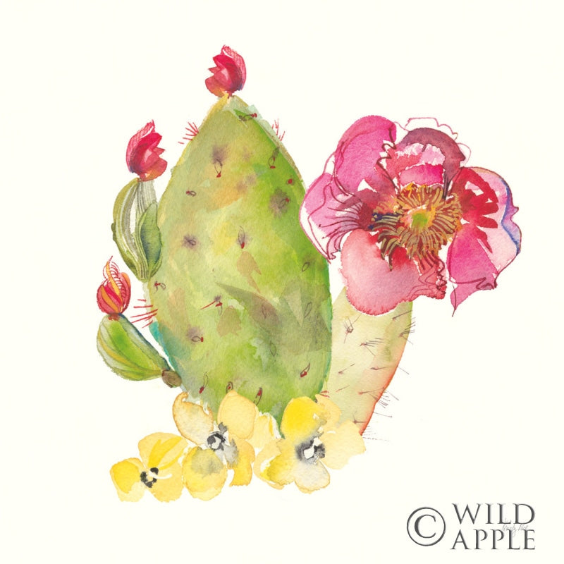 Reproduction of Succulent Desert II by Kristy Rice - Wall Decor Art