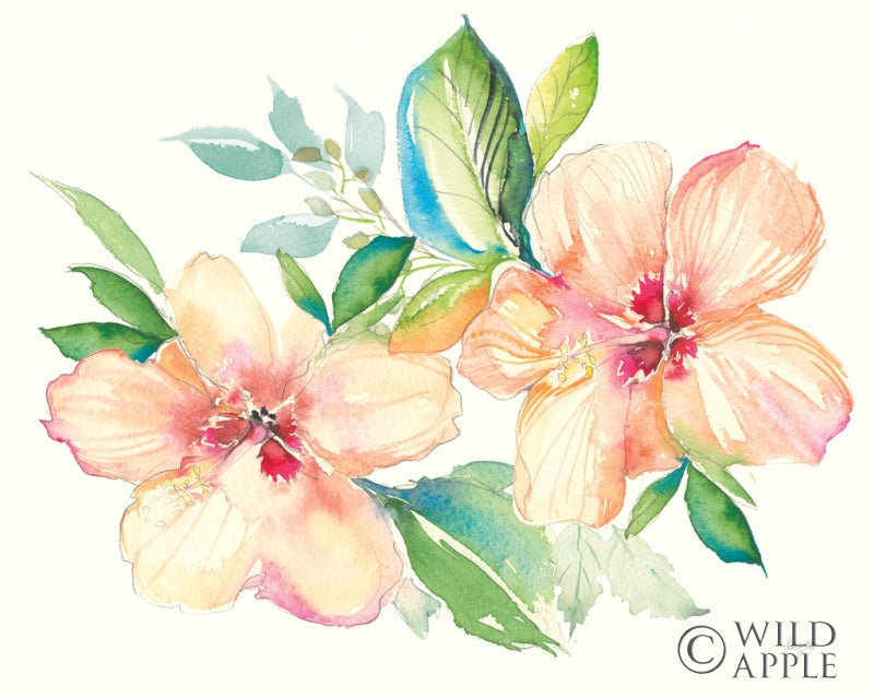 Reproduction of Pastel Garden Hibiscus by Kristy Rice - Wall Decor Art