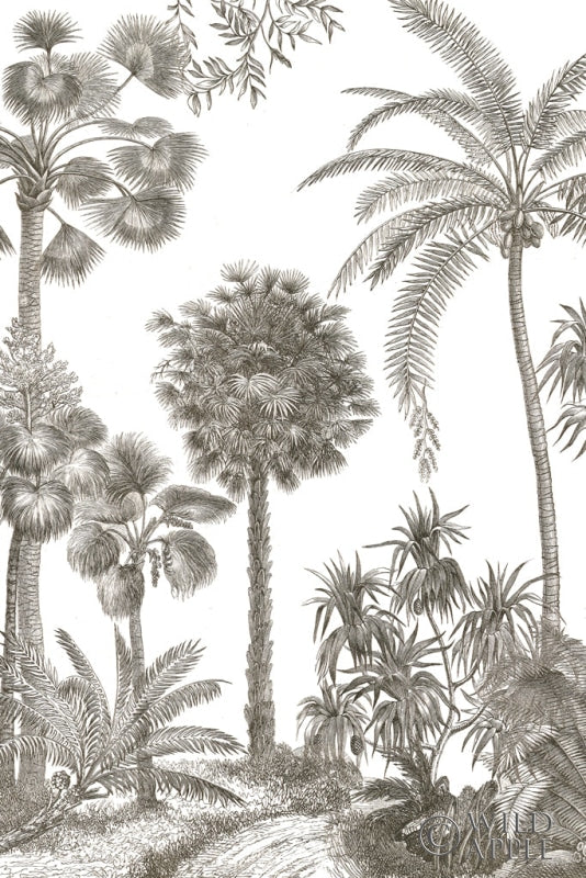 Reproduction of Palm Oasis I by Wild Apple Portfolio - Wall Decor Art