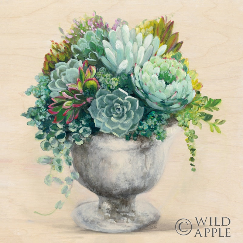 Reproduction of Festive Succulents I by Julia Purinton - Wall Decor Art
