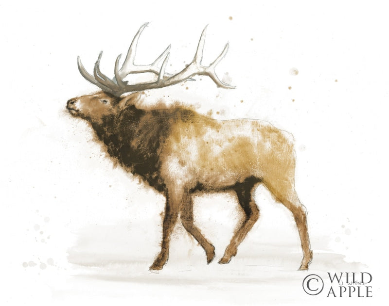 Reproduction of Elk v.2 Full by James Wiens - Wall Decor Art