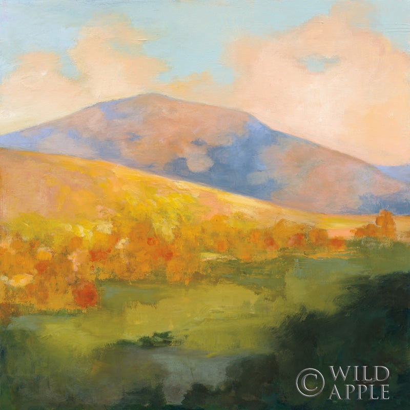 Reproduction of Mountain Morning by Julia Purinton - Wall Decor Art