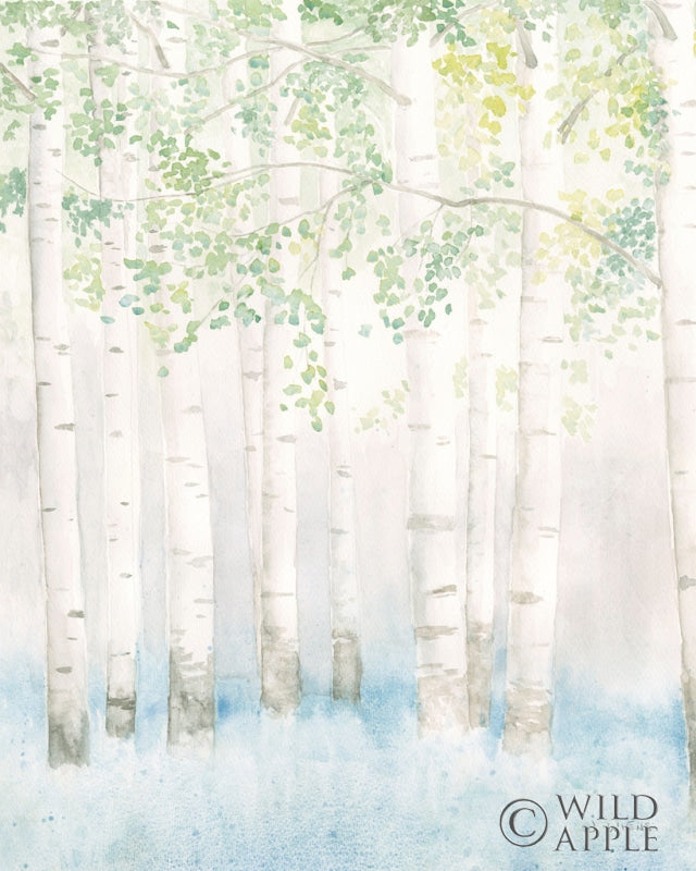 Reproduction of Soft Birches II by James Wiens - Wall Decor Art