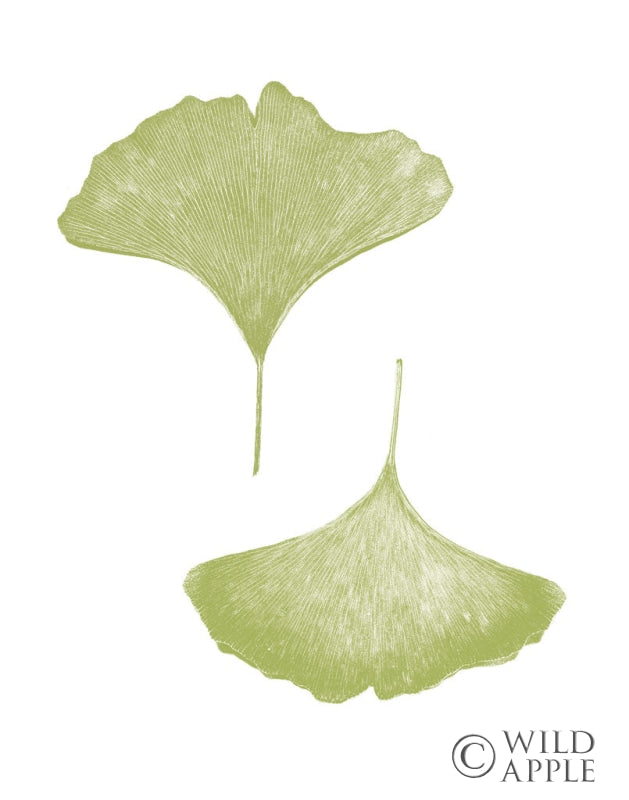 Reproduction of Renew on White by Wild Apple Portfolio - Wall Decor Art