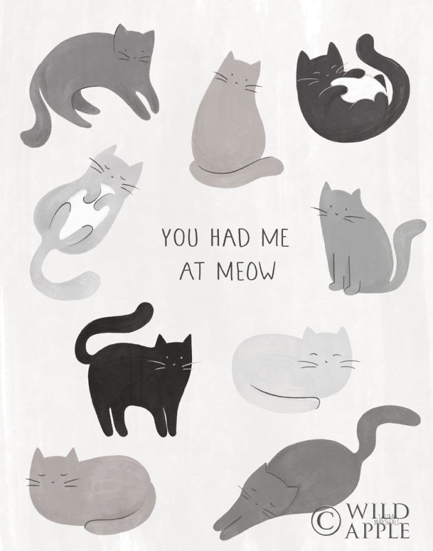 Reproduction of You Had Me at Meow by Laura Marshall - Wall Decor Art