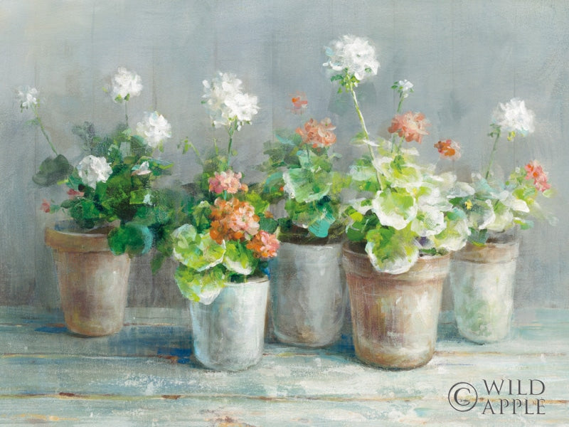Reproduction of Farmhouse Geraniums Crop II by Danhui Nai - Wall Decor Art