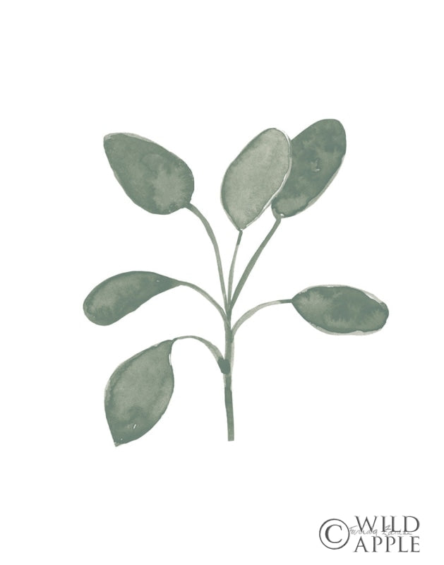 Reproduction of Fresh and Green VII Dark by Farida Zaman - Wall Decor Art