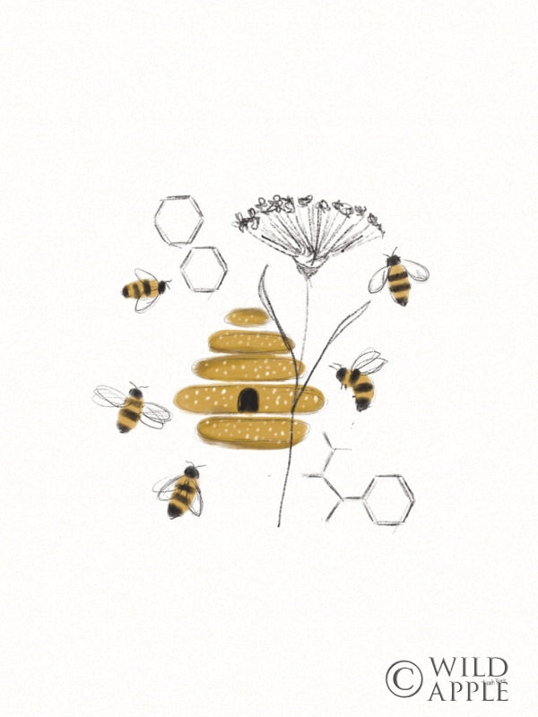Reproduction of Bees and Botanicals II Crop by Leah York - Wall Decor Art