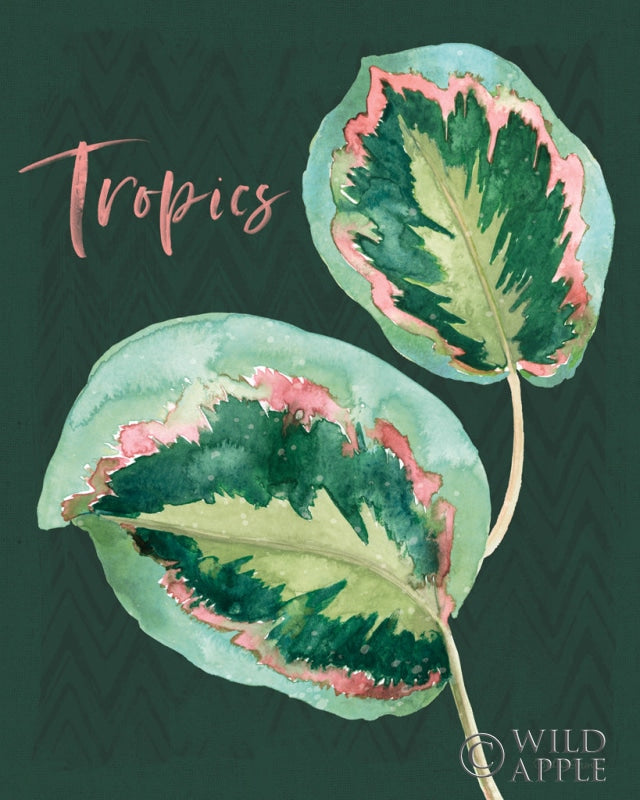 Reproduction of From the Jungle XI Dark by Beth Grove - Wall Decor Art