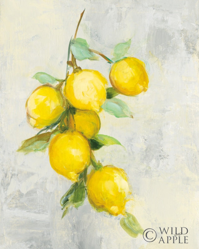 Reproduction of Zest I by Julia Purinton - Wall Decor Art