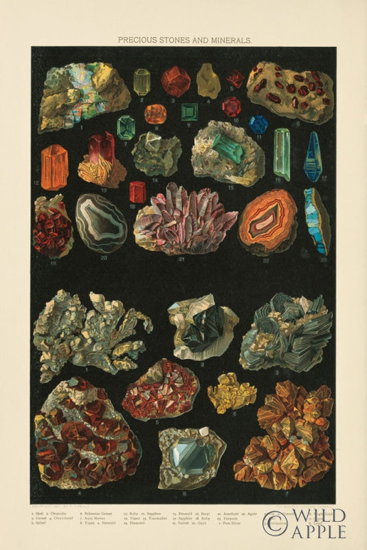 Reproduction of Precious Stones III by Wild Apple Portfolio - Wall Decor Art