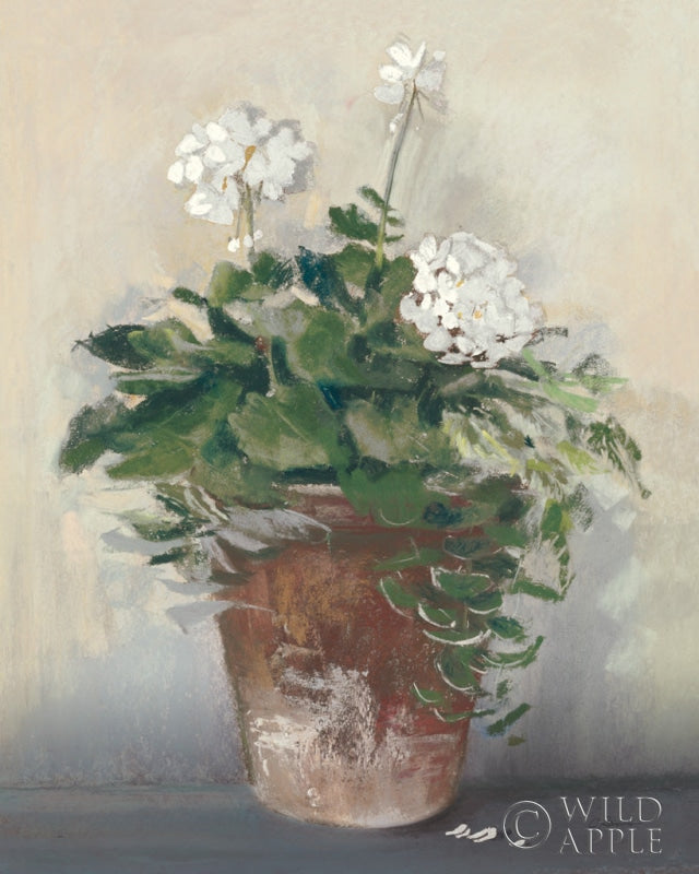 Reproduction of Pot of White Geraniums by Carol Rowan - Wall Decor Art