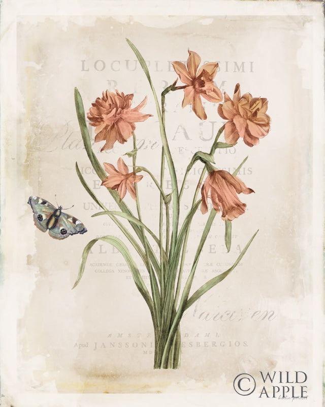 Reproduction of Antiquarian Blooms V by Katie Pertiet - Wall Decor Art