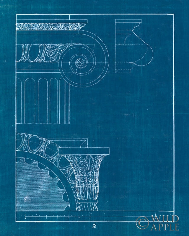 Reproduction of Architectural Columns II Blueprint by Wild Apple Portfolio - Wall Decor Art