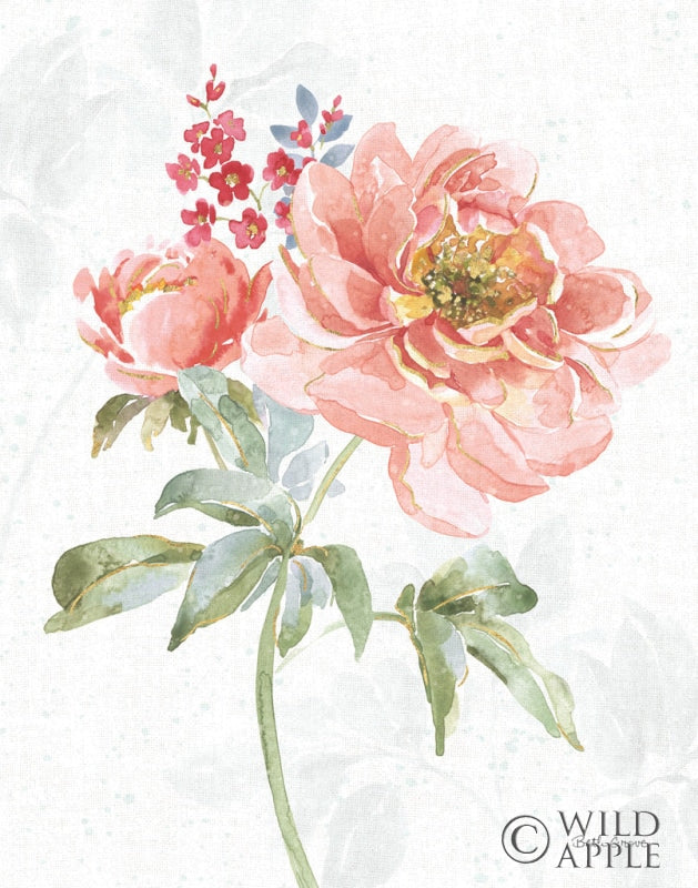 Reproduction of Floral Focus VI by Beth Grove - Wall Decor Art