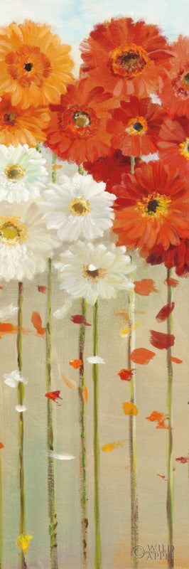 Reproduction of Daisies Fall II Crop by Danhui Nai - Wall Decor Art