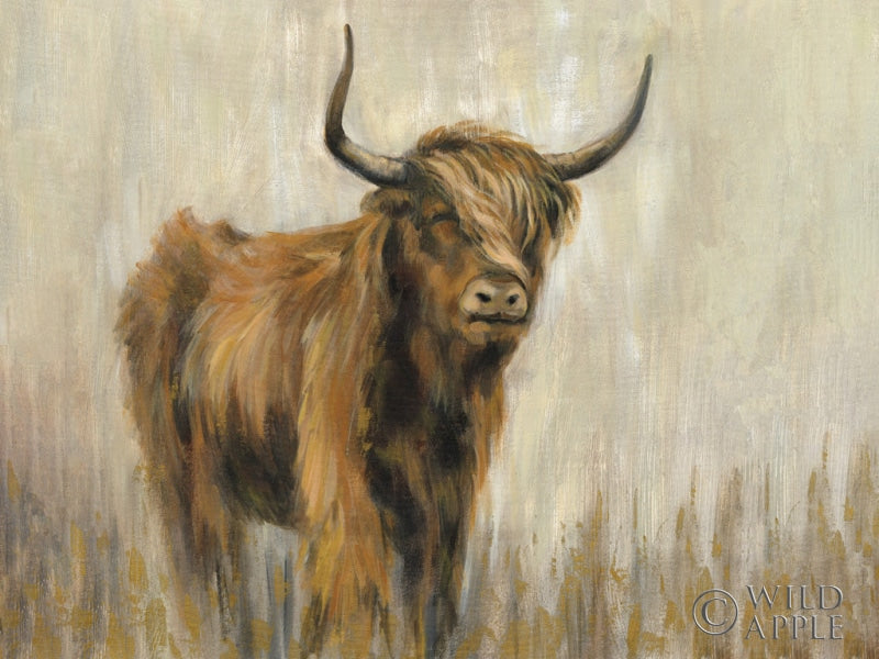 Reproduction of Highland Mountain Cow by Silvia Vassileva - Wall Decor Art