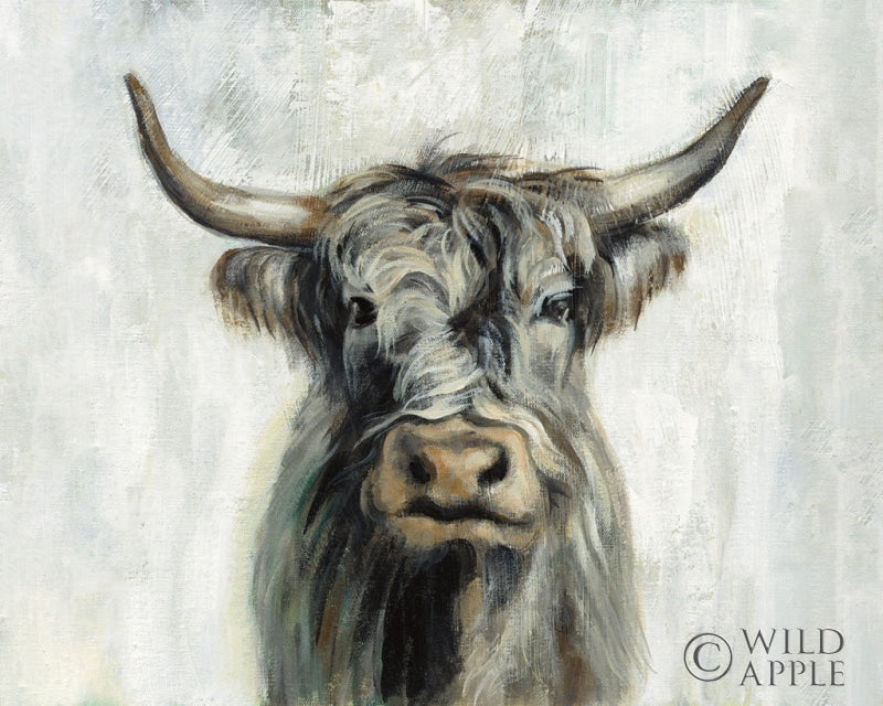Reproduction of Highland Cow Horizontal by Silvia Vassileva - Wall Decor Art