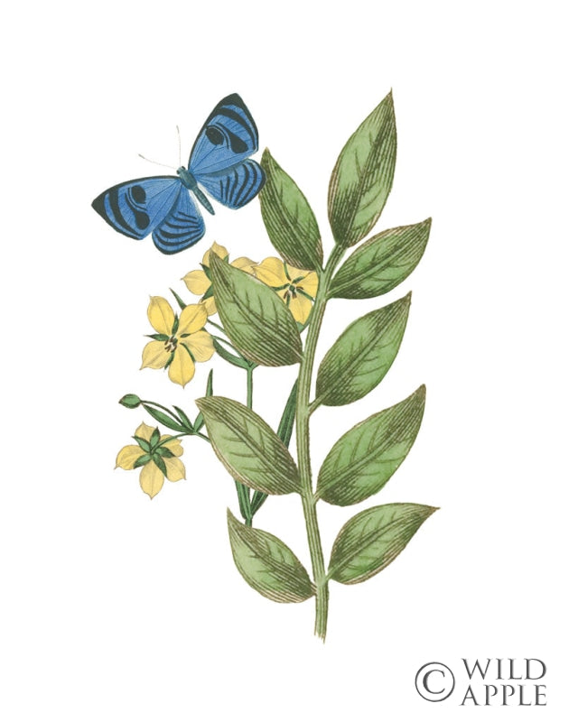 Reproduction of Greenery Butterflies IV by Wild Apple Portfolio - Wall Decor Art