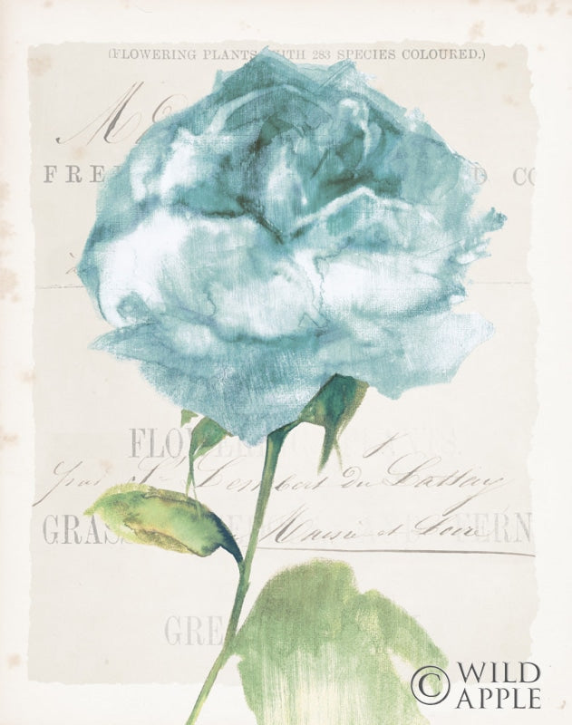 Reproduction of Antique Floral II Blue Vintage by Wild Apple Portfolio - Wall Decor Art