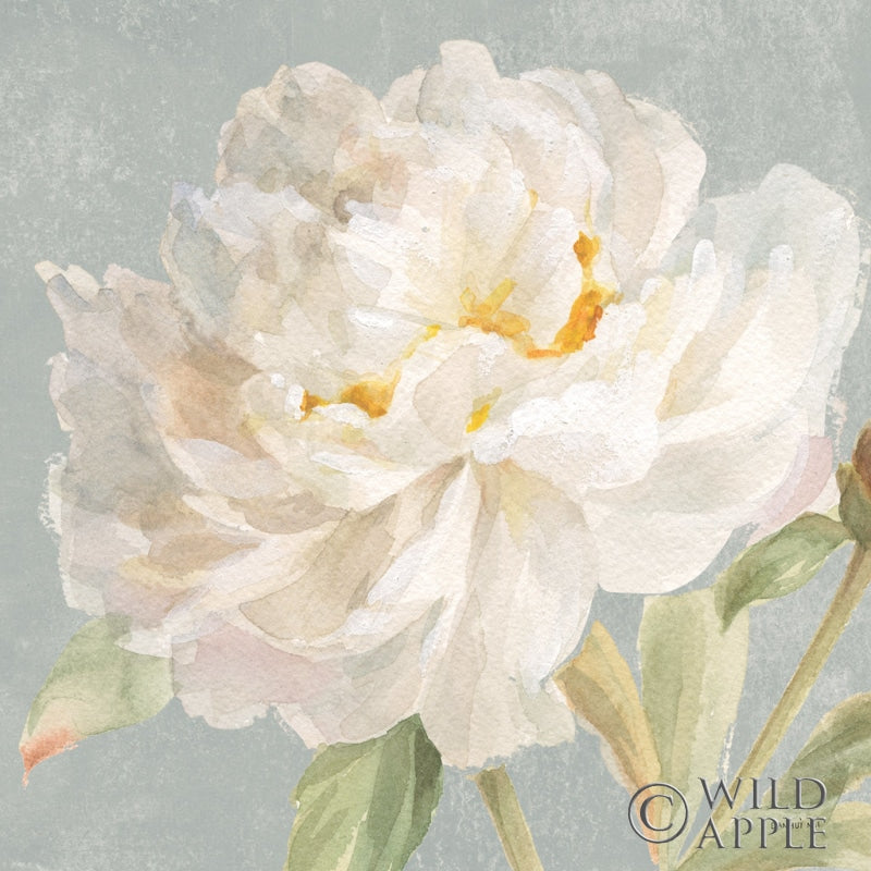 Reproduction of Garden Peony Neutral Crop by Danhui Nai - Wall Decor Art