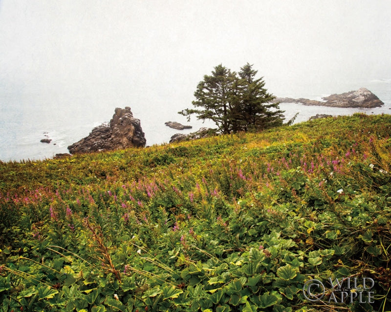 Reproduction of Oregon Coast by Debra Van Swearingen - Wall Decor Art