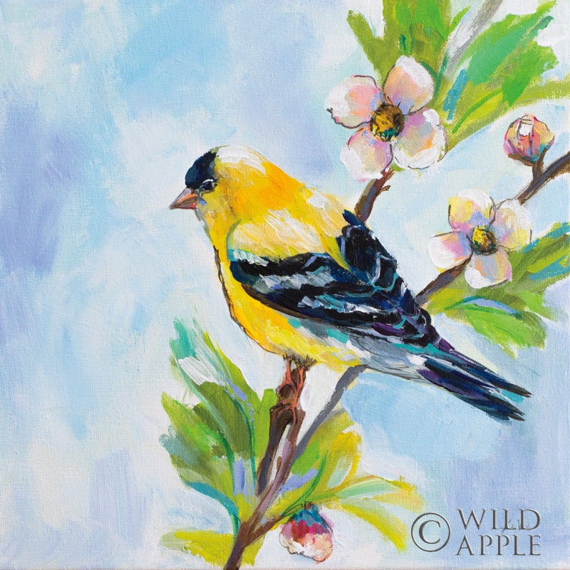 Reproduction of Golden Finch by Jeanette Vertentes - Wall Decor Art
