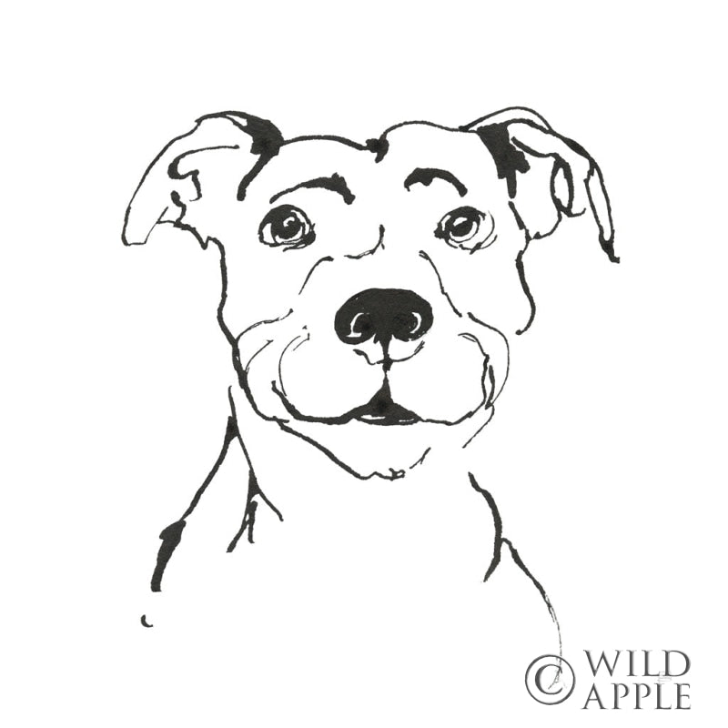Reproduction of Line Dog Pitbull I by Chris Paschke - Wall Decor Art