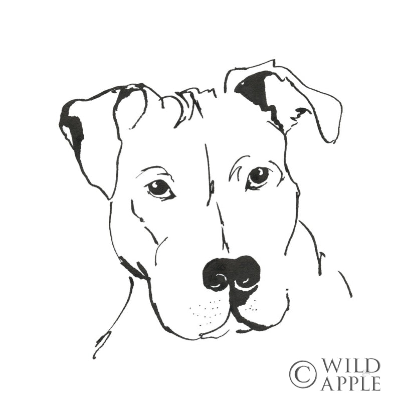 Reproduction of Line Dog Pitbull II by Chris Paschke - Wall Decor Art