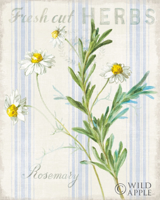 Reproduction of Floursack Herbs I by Danhui Nai - Wall Decor Art