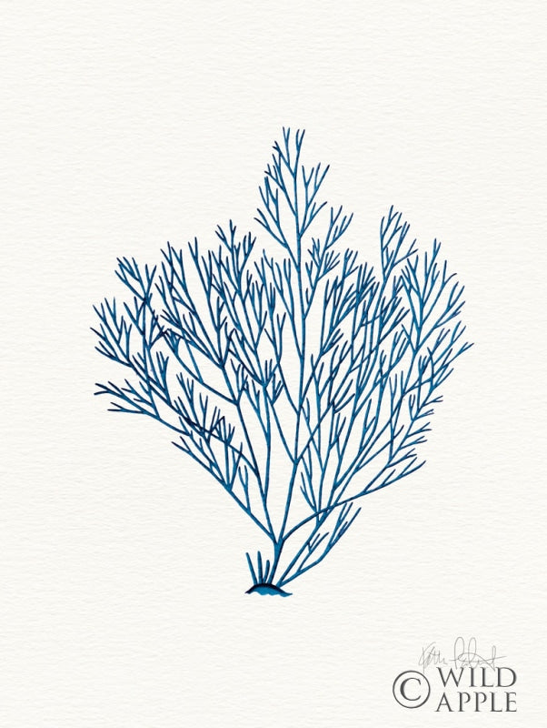 Reproduction of Sea Garden II Royal Blue by Katie Pertiet - Wall Decor Art