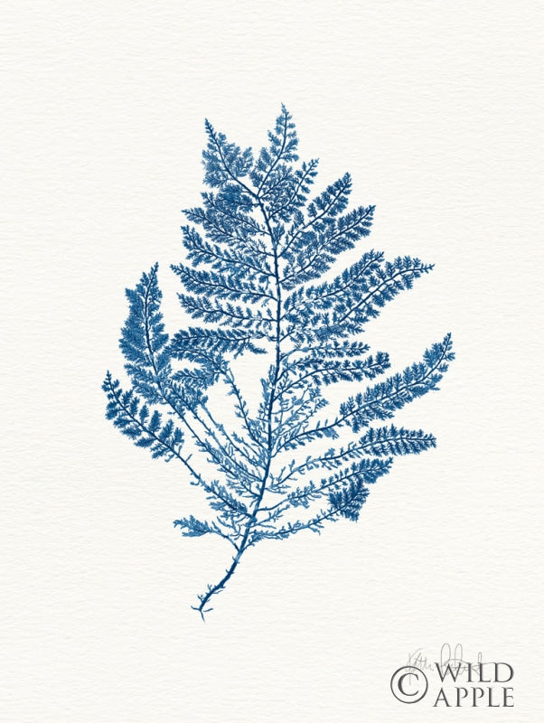 Reproduction of Sea Garden III Royal Blue by Katie Pertiet - Wall Decor Art