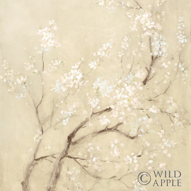 Reproduction of White Cherry Blossoms I Linen Crop by Danhui Nai - Wall Decor Art