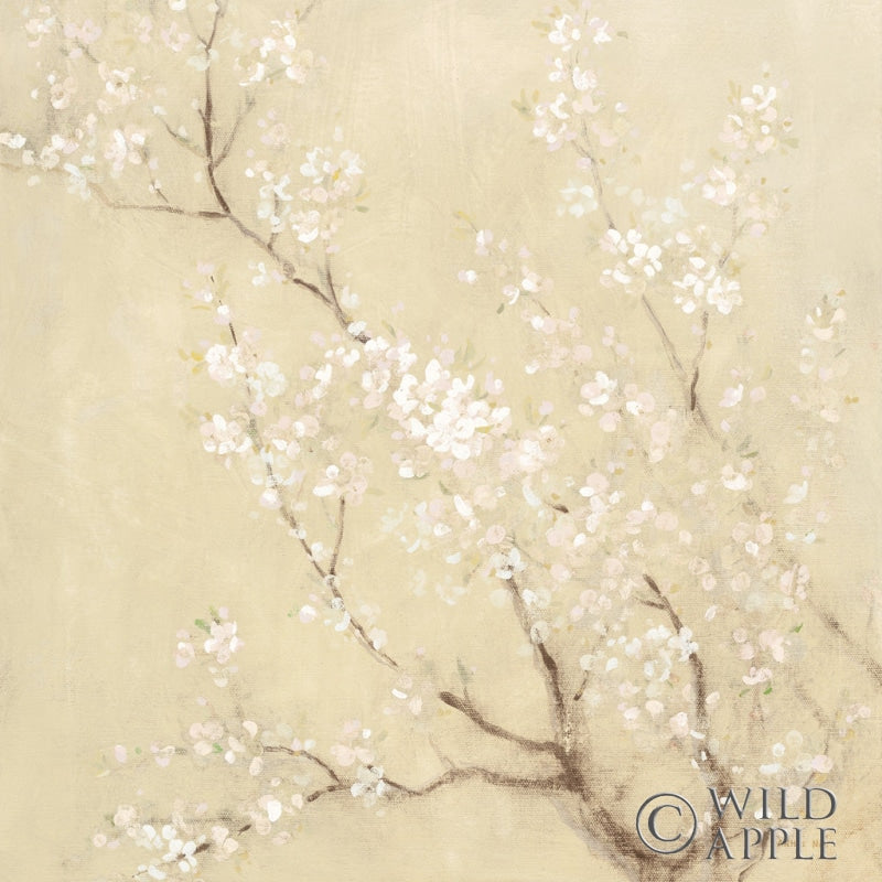 Reproduction of White Cherry Blossoms II Linen Crop by Danhui Nai - Wall Decor Art