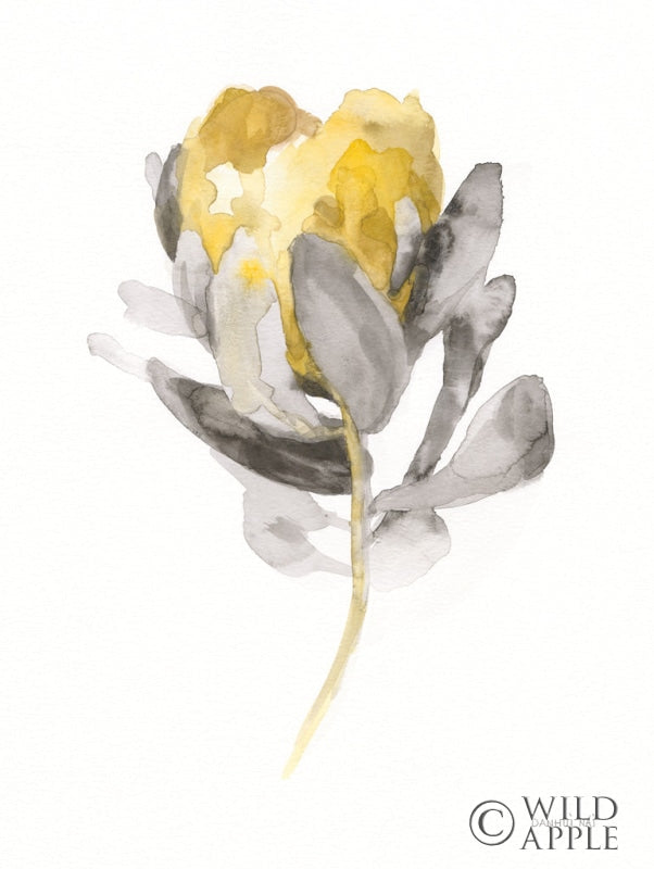 Reproduction of Spirit Flower II by Danhui Nai - Wall Decor Art