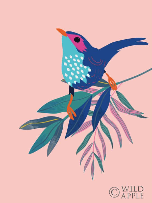 Reproduction of Exotic Birds IV by Omar Escalante - Wall Decor Art