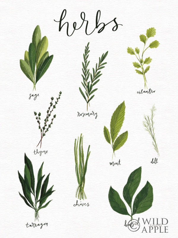 Reproduction of Herbs I White Crop by Becky Thorns - Wall Decor Art