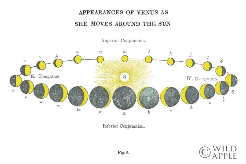 Reproduction of Solar Venus Chart Bright by Wild Apple Portfolio - Wall Decor Art