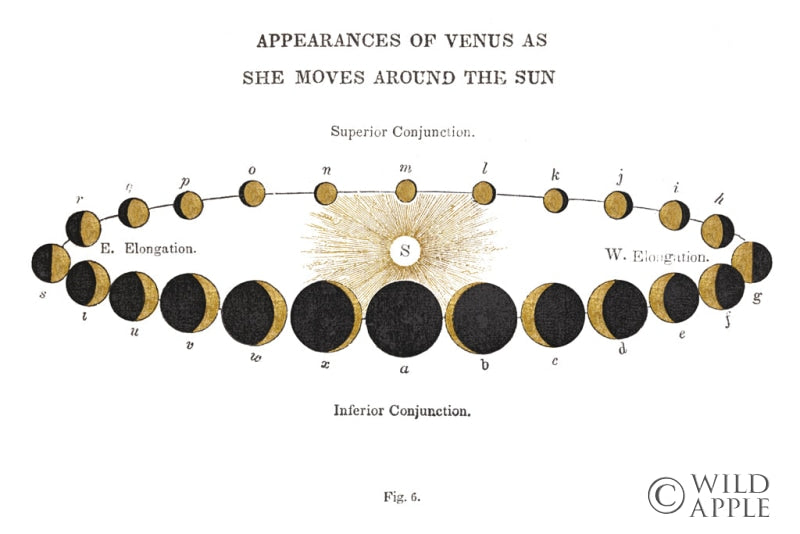 Solar Venus Chart Gold Posters Prints & Visual Artwork