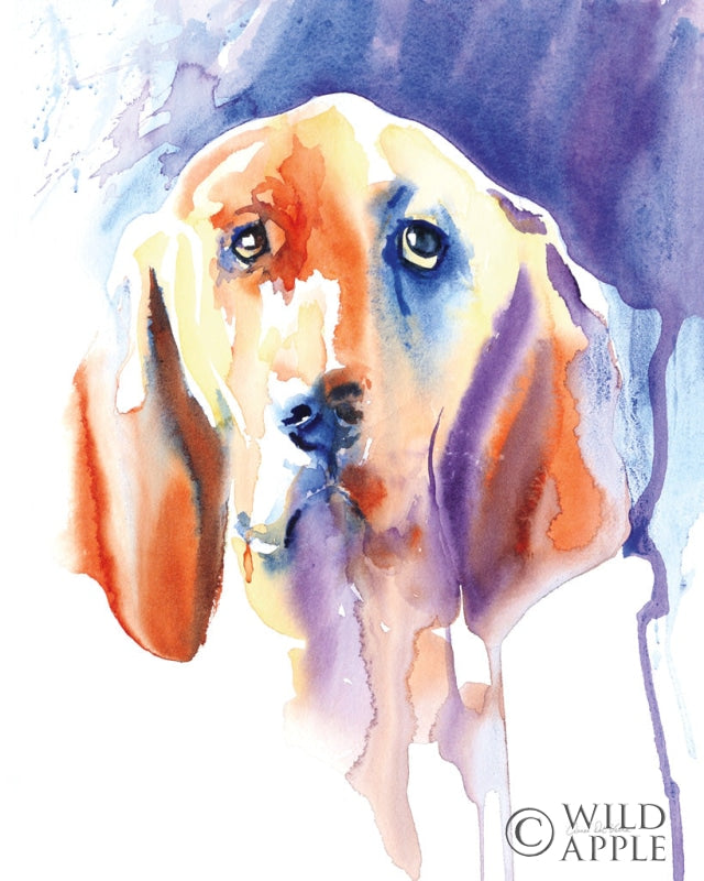 Reproduction of Basset Hound by Aimee Del Valle - Wall Decor Art