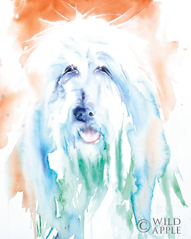 Reproduction of Sheep Dog by Aimee Del Valle - Wall Decor Art