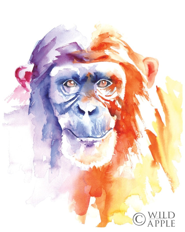Reproduction of Chimpanzee II by Aimee Del Valle - Wall Decor Art