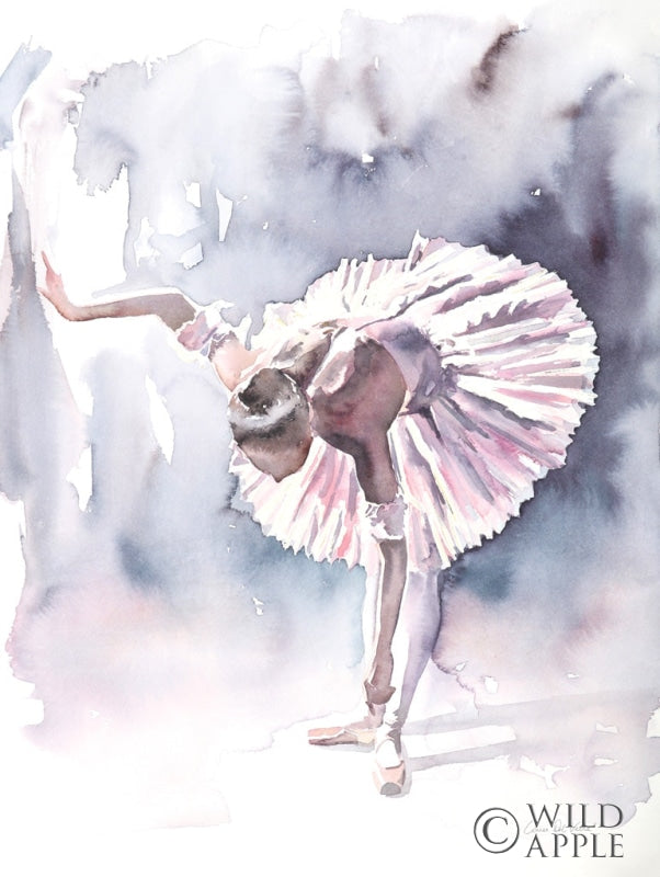 Reproduction of Ballet VI by Aimee Del Valle - Wall Decor Art