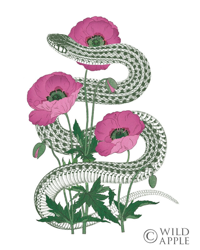 Reproduction of Natural Beauty II Pink Flower by Wild Apple Portfolio - Wall Decor Art